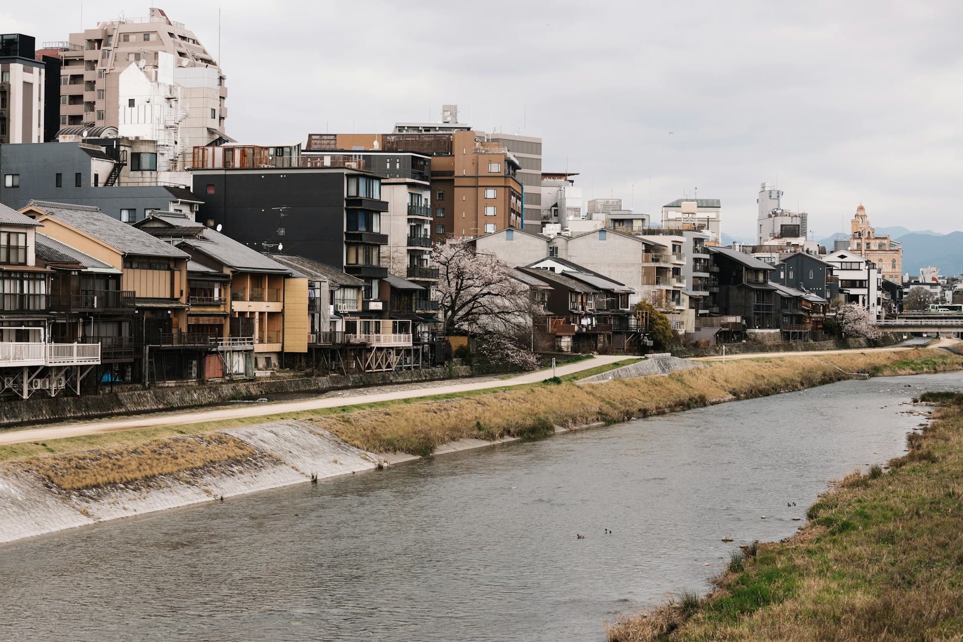 Kyoto