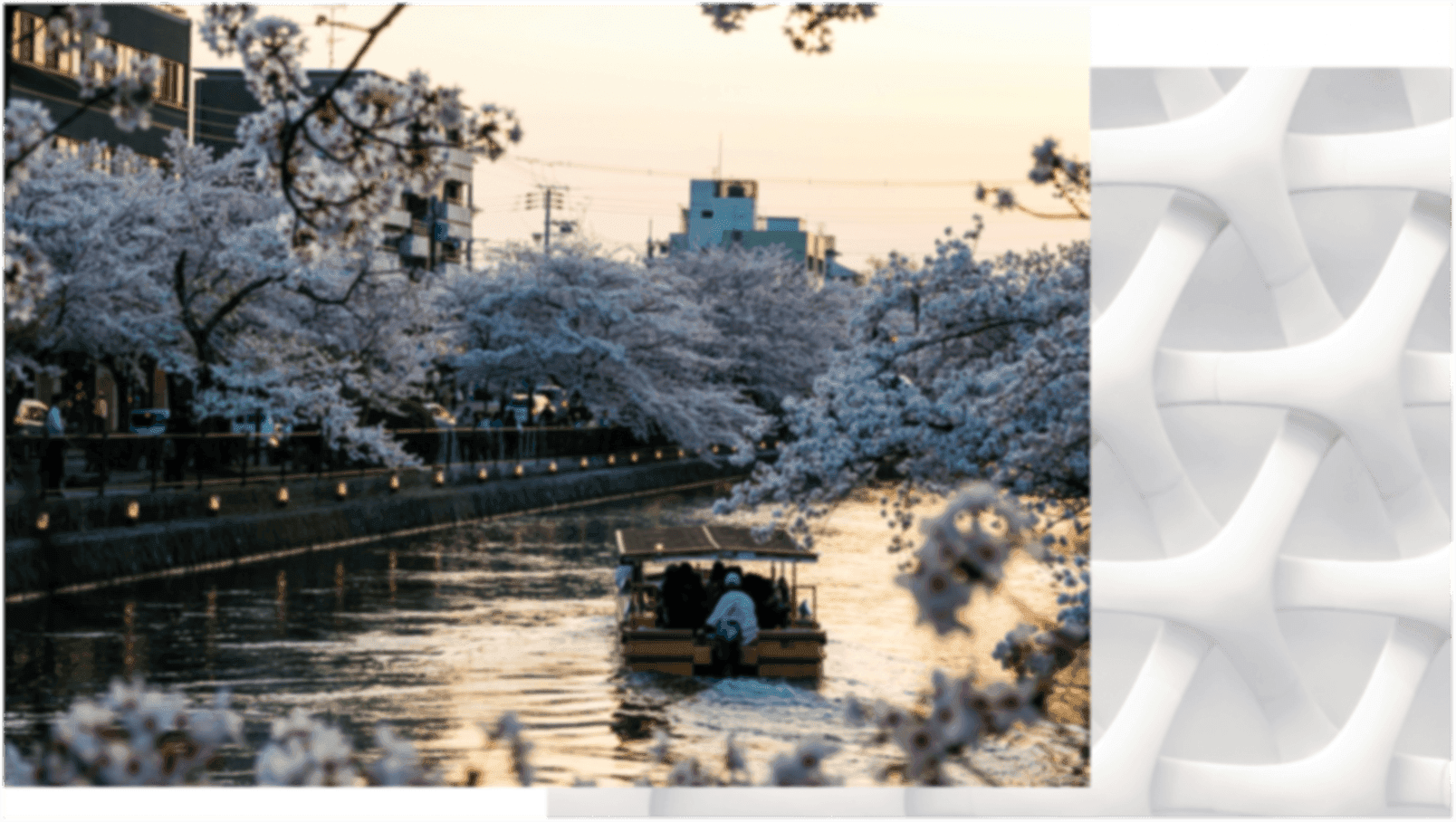 Kyoto Women Entrepreneur Award