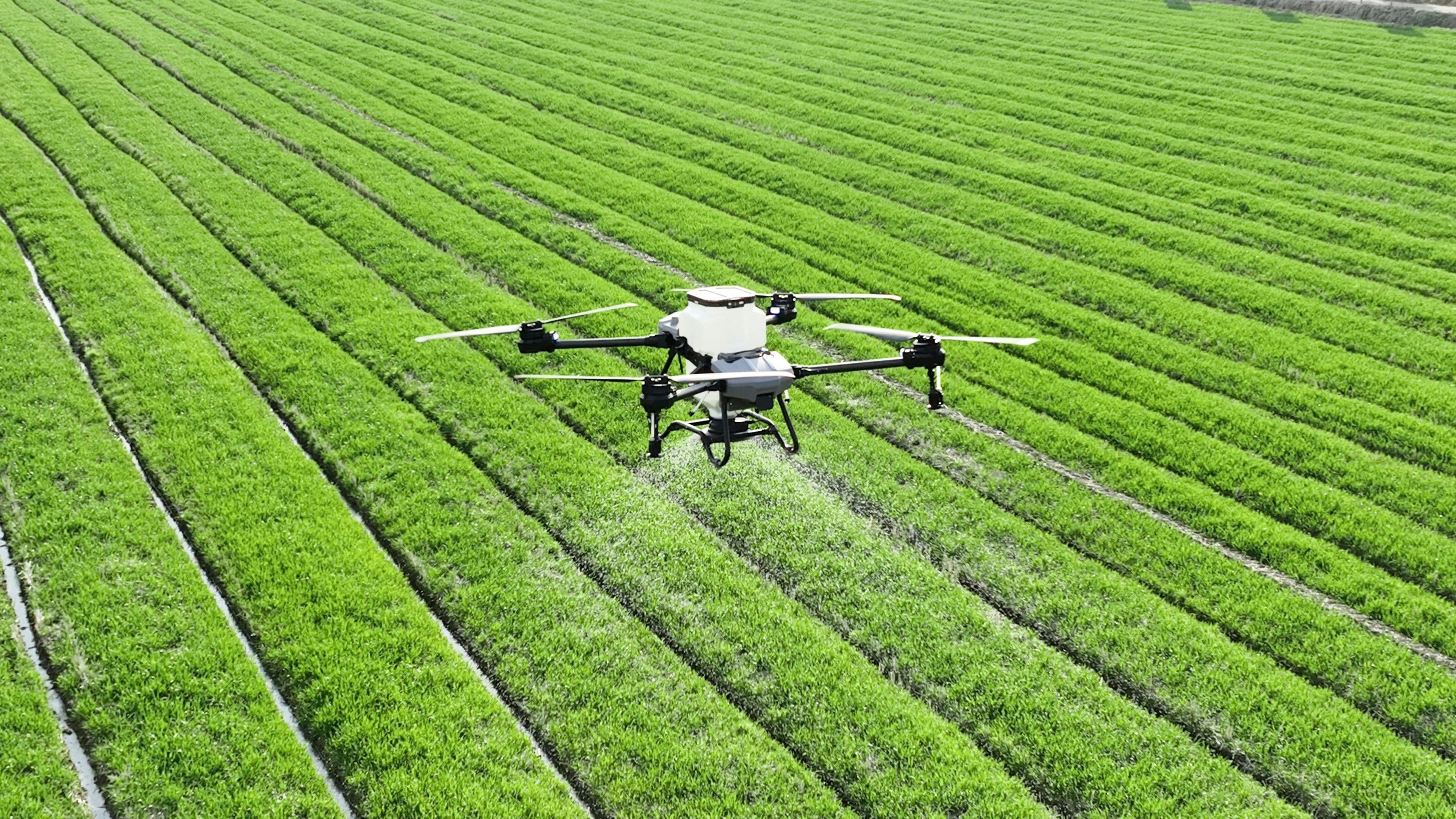 Inside Japan's Agritech Boom: The Startups Transforming Farming