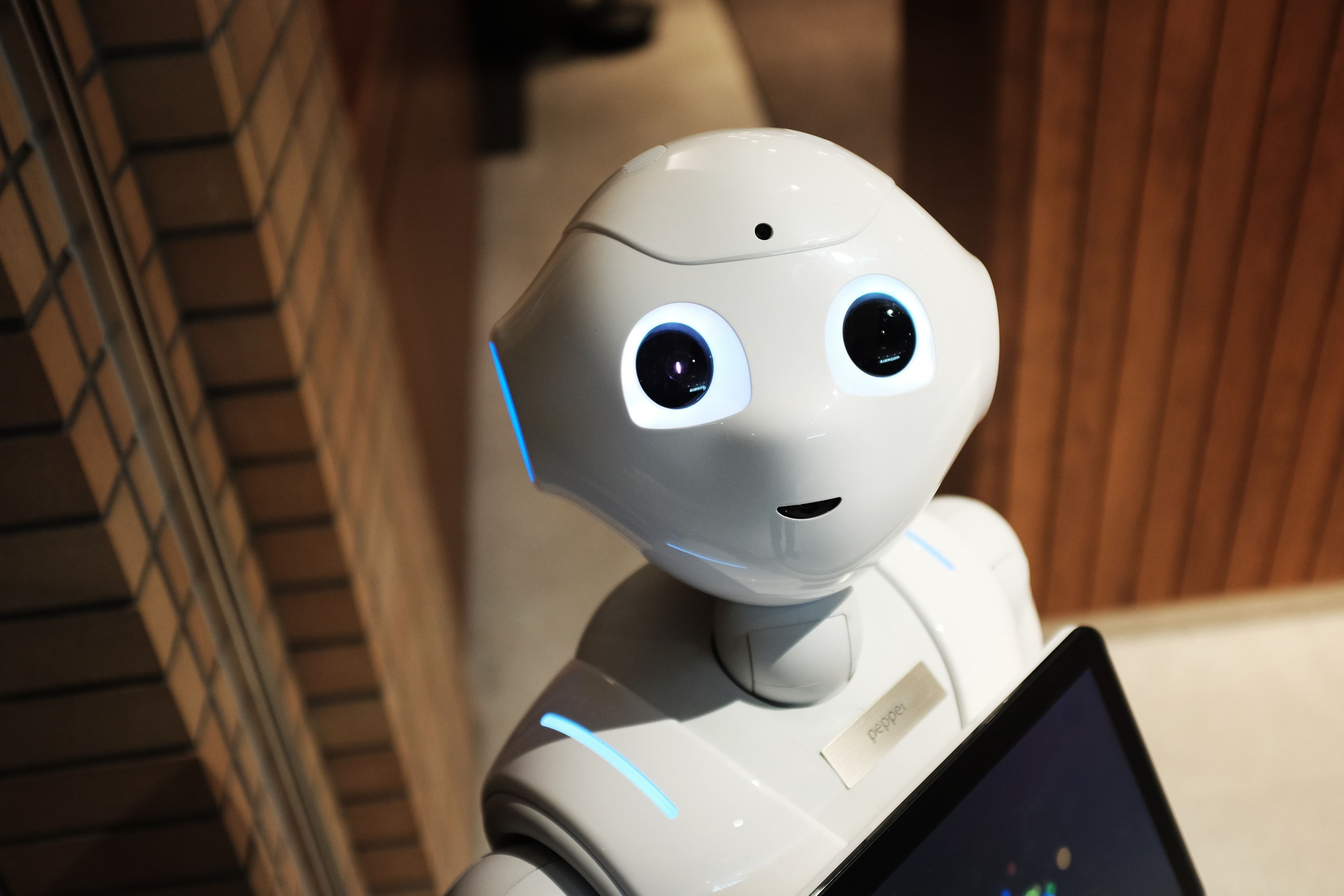 Can Japan win in physical AI?